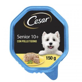 Ani. Perro Tarrina Pollo Senior CESAR 150 GR