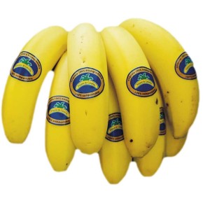Uva Blanca Rosada San Marcos   | Borosa Market