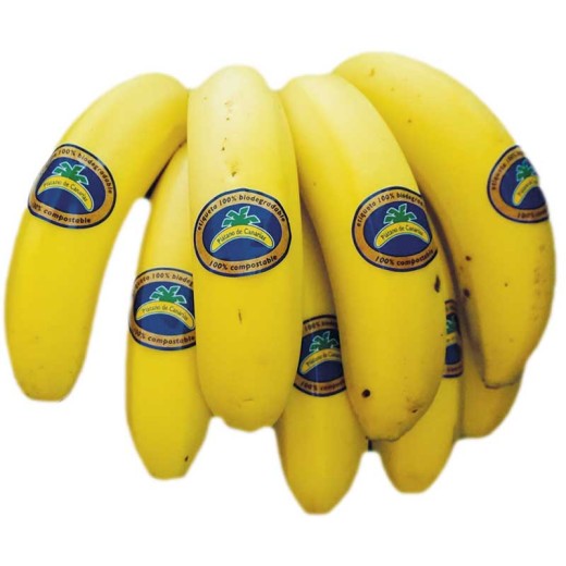 Platano de Canarias  SELECTA | Borosa Market