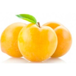 Ciruela Amarilla 