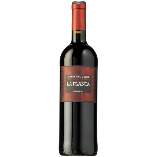 Vino Tinto Ribera del Duero D.O. La Planta Roble | Cash Borosa