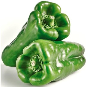 Pimiento Palermo | Borosa Market
