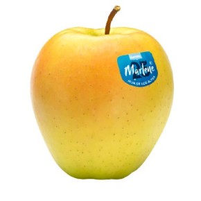 Manzana Golden MARLENE