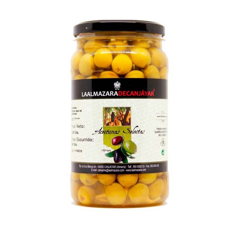 Aceitunas Mojo Picon  CANJAYAR 550 GR | Cash Borosa