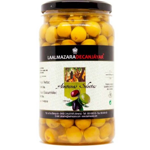 Aceitunas Mojo Picon  CANJAYAR 550 GR | Cash Borosa