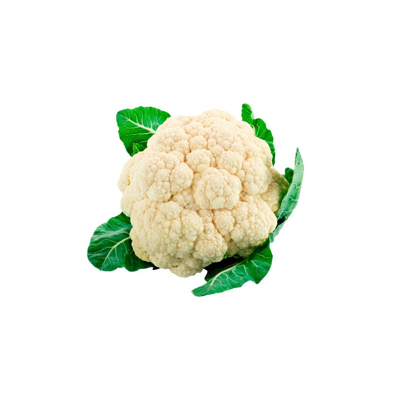 Coliflor | Cash Borosa