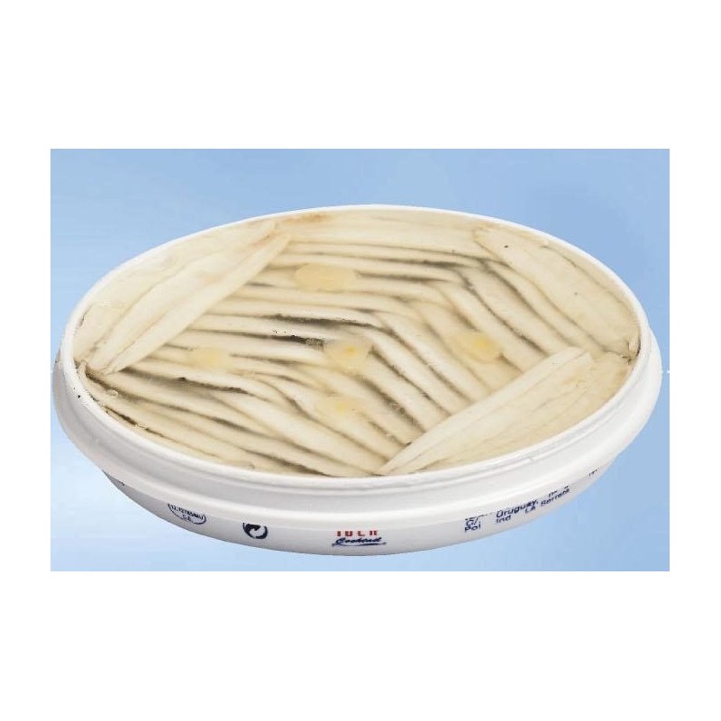Tarrina Boquerones en Aceite IBER 400 GR | Borosa Market
