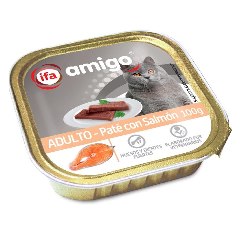 Ani. Gato IFA Tarrina 100 Gr Salmon | Cash Borosa