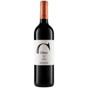 Vino Tinto Ribera Duero D.O. PAGO DE FUENTEVEGA Crianza 75CL